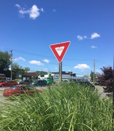 yield